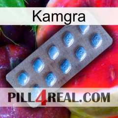 Kamgra viagra3